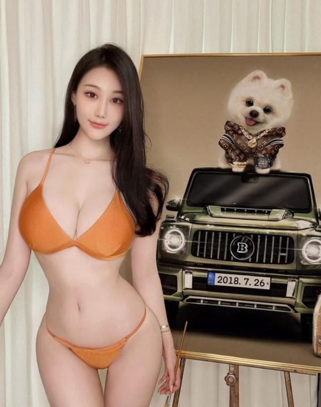 达拉斯楼凤